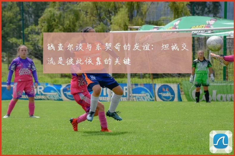 钱查尔谈与东契奇的友谊：坦诚交流是彼此依靠的关键