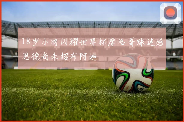 18岁小将闪耀世界杯摩洛哥球迷感恩德尚未招布阿迪